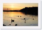 sunset_birds * 800 x 524 * (55KB)