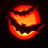 bats (5781 bytes)